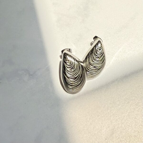 Shell Silver Earrings
