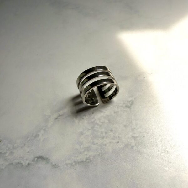 Anillo Línia